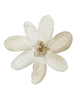 Flor decorativa